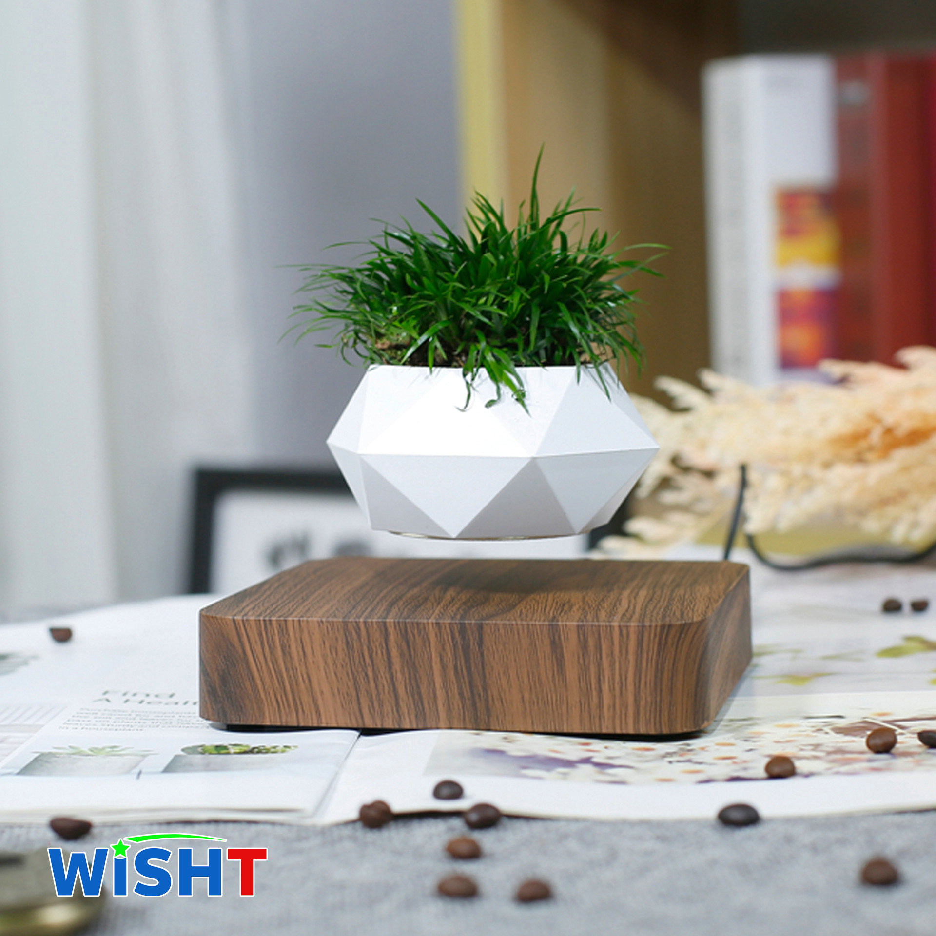 Wish magnetic levitation potted plant